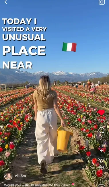 Il Villaggio Dei Tulipani
